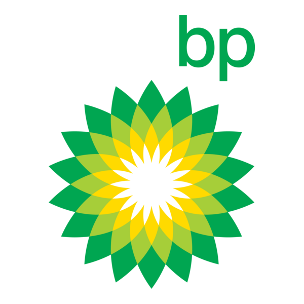 BP Ring Type Joint Supplier