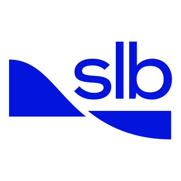 Schlumberger SLB Gasket Supplier